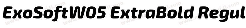 ExoSoftW05 ExtraBold Regular字体转换